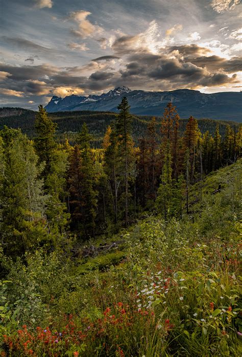 Expose Nature Sunset In Alberta Canada 3840x5663 Oc