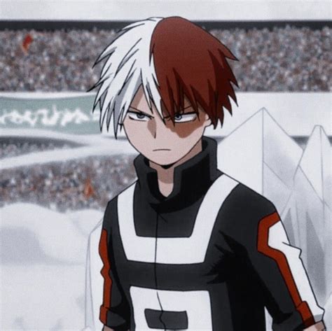 Anime Pfp Todoroki