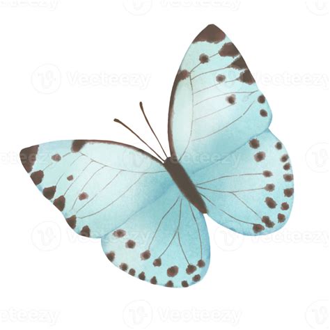 Blue Butterfly Drawing 15311121 Png