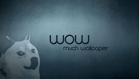 You can also upload and share your favorite meme wallpapers. Doge Meme Wallpaper 1920X1080 | Amazing Wallpapers