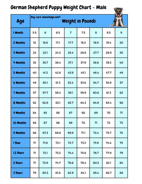 German Shepherd Puppy Weight Chart Month By Month Growth