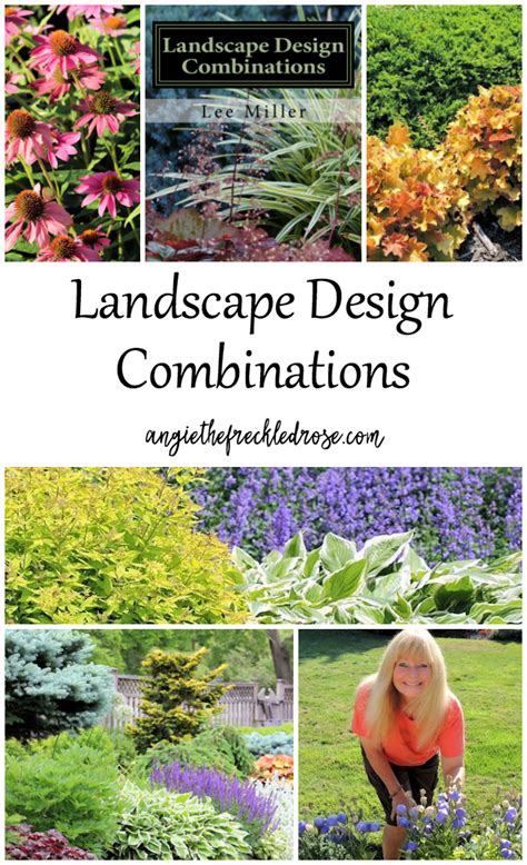 Landscape Design Combinations Angie The Freckled Rose