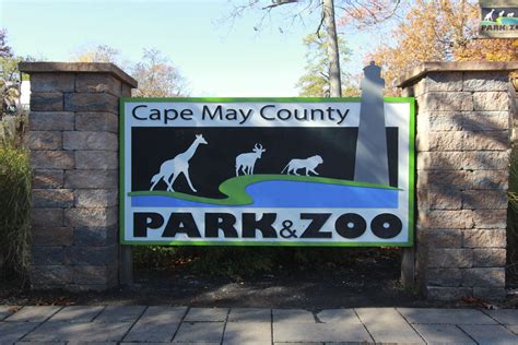 Cape May County Park And Zoo Scooter Rental County Park Cape May New