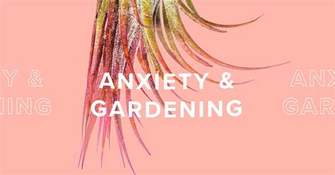 How Gardening Helps My Anxiety And 4 Steps To Get Started