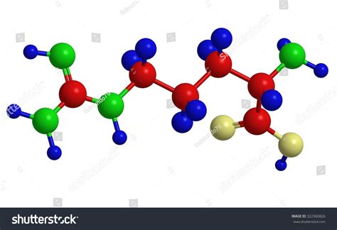 Molecular Structure Arginine Arginine Important Natural Stock