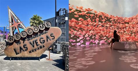 10 Unforgettable Bucket List Things To Do While In Las Vegas Mapped