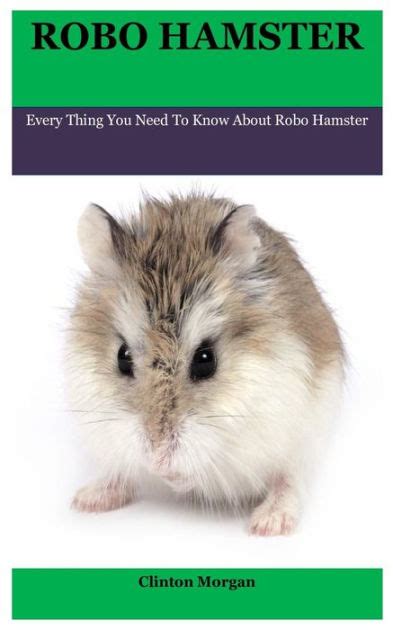 Robo Hamster Every Thing You Need To Know About Robo Hamster By
