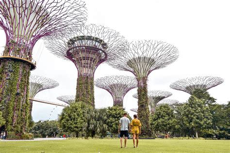 Although we had only a little over an hour, we wanted to see the supertrees. Gardens By The Bay Singapore - A Complete Guide To Visiting