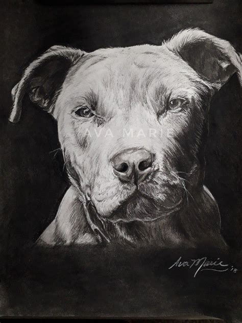 Charcoal Dog Drawing Dog Drawing Pet Portraits Pets