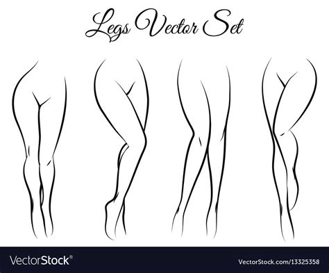 Woman Legs Set Royalty Free Vector Image Vectorstock