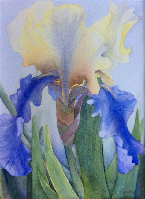 Blue And Yellow Iris Edith Wolford Watercolour By Heather Plowman