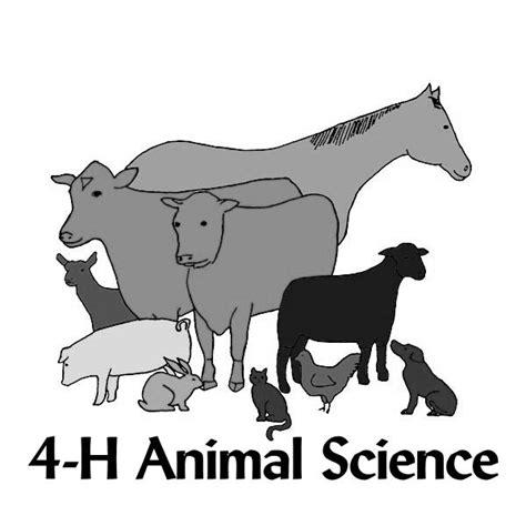 Check spelling or type a new query. 4-h Animal Clipart - Clipart Suggest