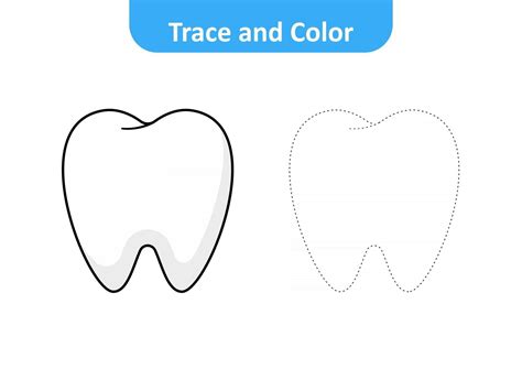 Trace And Color For Kids Tooth Vector 2989742 Vector Art At Vecteezy