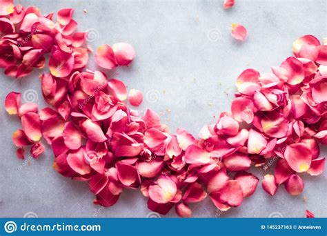 Rose Petals On Marble Stone Floral Background Stock Image Image Of