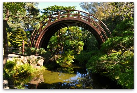 The japanese tea garden (japanese: Japanese Tea Garden San Francisco | Golden Gate Park