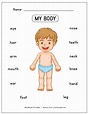 Learn the Body Parts Worksheet - https://tribobot.com