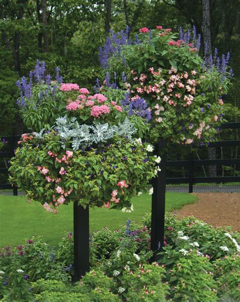 Border Columns Basket Planters Flower Baskets Outdoor Flowers
