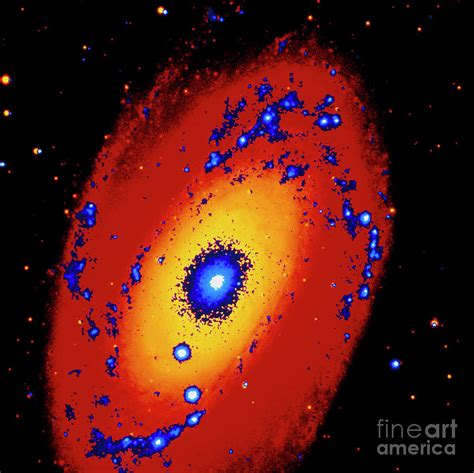 Galaxy M81 Composite Optical And Ultraviolet Image Photograph By Nasa