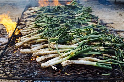 How To Grill Spring Onions Recipe