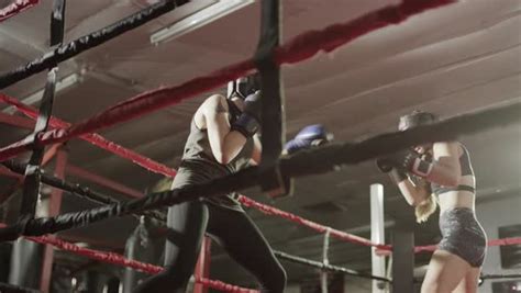 Medium low angle shot of female boxers sparring - Stock ...