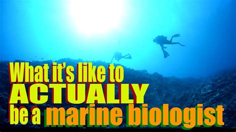 What Its Like To Actually Be A Marine Biologist Youtube