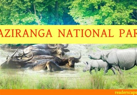 Raimona Th National Park In Assam Readerscapsule
