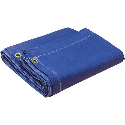 See more ideas about tarps, canopy, canopy frame. 15' x 20' 12 oz. Blue Canvas Tarp - Canopies and Tarps