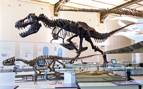 Jurassic Great Dinosaur Exhibition Things To Do In Tokyo Ph