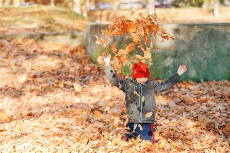 Happy Child Playing With Autumn Leaves In Park Autumn Mood Stock Image