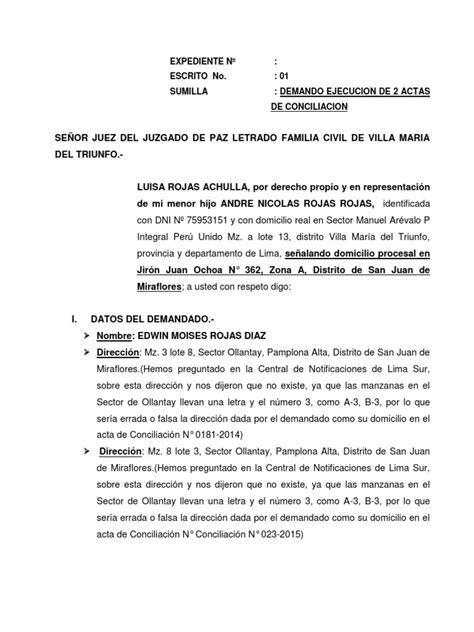 Demanda Acta De Conciliacion Luisa Pena Capital Demanda Judicial