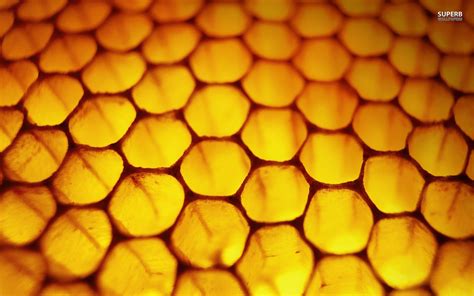 Free Honeycomb Wallpaper 1680x1050 10490