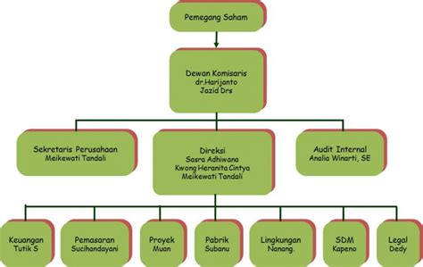 Struktur Organisasi Perusahaan Pt