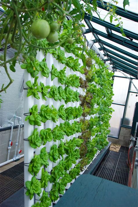 Our 80º Vertical Aquaponics System Is All About Saving Both Space