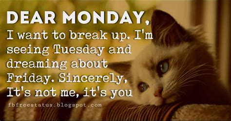 funny monday quotes to make you smile in monday morning
