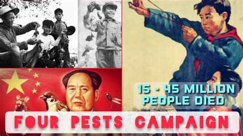 Four Pests Campaign Chinas Great Famine Smash Sparrows Campaign