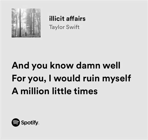 Lyrics You Might Relate To On Twitter Taylor Swift Illicit Affairs