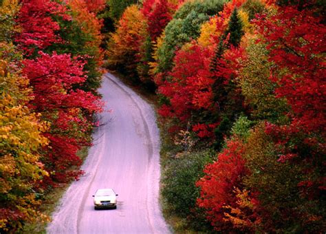 The Fall Foliage Of Maine And Cape Cod Randy Clark Tours