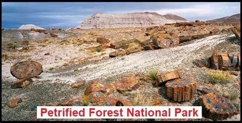 Petrified Forest National Park Updated 2022 A Travelers Guide