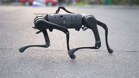 Video Showing Robot Army Of Dogs Released By Chinese Robotics Company