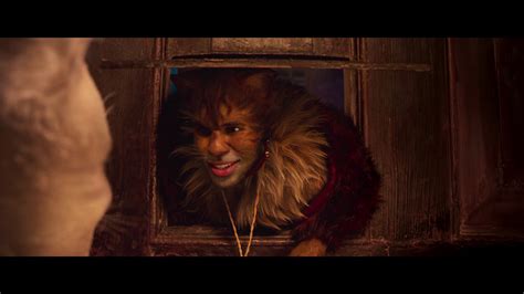The plot of the cat army to destroy a new vaccine that, if developed, would destroy all human allergies to dogs, is uncovered and the dogs fight back to prevent the cats from succeeding in their quest for domination! 'Cats' Official Trailer (2019) | Taylor Swift, Jennifer Hudson, Idris Elba - YouTube