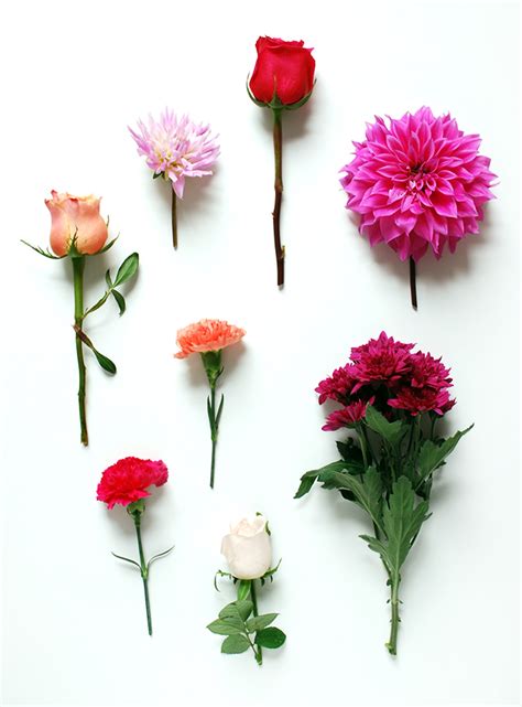 They bring color and life to your space, add a nice touch to any room, and make the perfect gift for someone special or even yourself. Tutorial :: How to make a fresh flower garland - We Are Scout