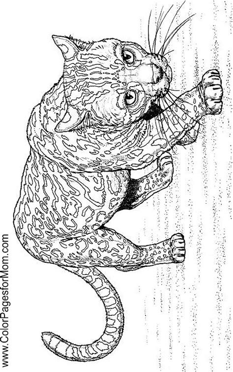 Animals 160 Advanced Coloring Pages
