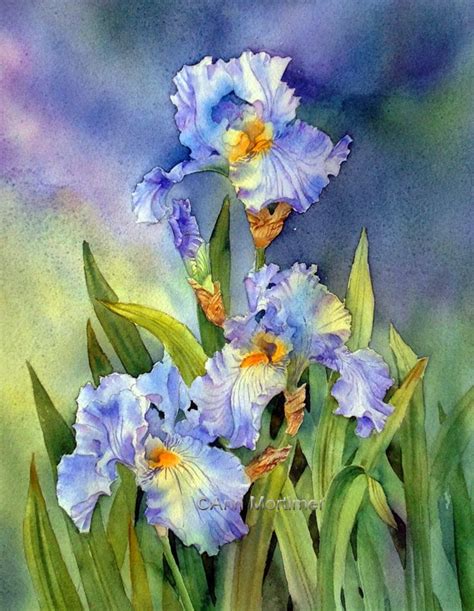 Ann Mortimers Painting Blog Iris Painting Watercolor Flowers