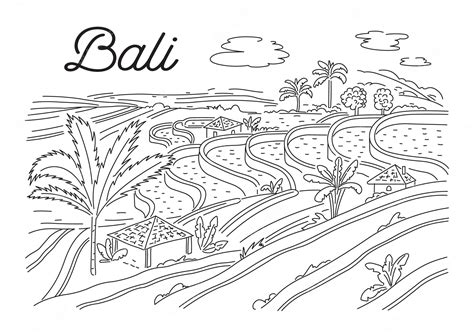 Premium Vector Rice Terraces In Bali Indonesian Nature Vector