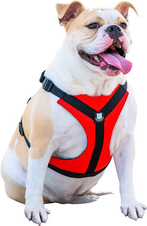 Bulldog Grade Harness For English American French Bulldogs Custom Fit