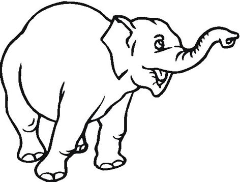 Download gambar sketsa gajah 2013 gambar co id. Gambar Fauna Gajah Yang Mudah Digambar