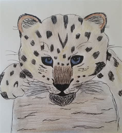 Cute animal drawings, kawaii animals, cheetah.,how to draw cute animals: baby cheetah | Cute drawings, Cat drawing, Baby cheetahs
