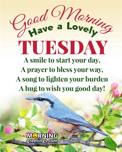 50 best tuesday morning quotes wishes pics morning greetings morning quotes and wishes images