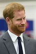 Pin on Prince Harry, Duke of Sussex
