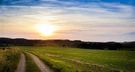 Trees Italy Field Summer Trail Wallpapers Hd Desktop And Mobile